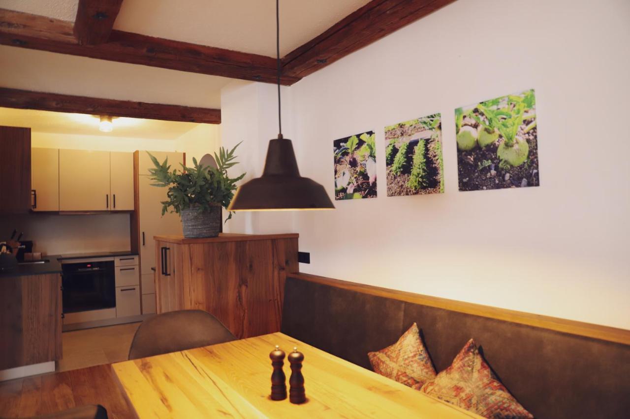 Mocking Apartment Kitzbuhel